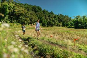 BIB: 
                            <button type="button" onclick="openModal(26726258)" class="btn btn-primary btn-sm float-right btn-popup" data-toggle="modal" data-target=".modal-high-quality">
                        <i class="fas fa-shopping-cart"></i> Add to Cart
                    </button>
                                            <button type="button" onclick="isThisMe(26726258, true)" class="btn btn-success btn-sm float-right btn-popup btn-isme hidden" data-toggle="tooltip" data-placement="bottom" title="นี่คือรูปของคุณใช่ไหม คลิกที่นี่เพื่อเอาเข้าอัลบั้ม">
                        <i class="fas fa-plus"></i> Add to album
                    </button>
                    <button type="button" onclick="isThisMe(26726258, false)" class="btn btn-warning btn-sm float-right btn-popup btn-isnotme hidden">
                        <i class="fas fa-ban"></i> Remove from album
                    </button>