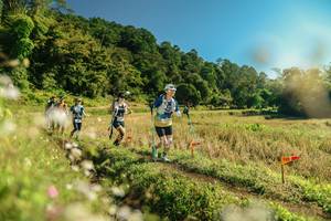 BIB: 
                            <button type="button" onclick="openModal(26679874)" class="btn btn-primary btn-sm float-right btn-popup" data-toggle="modal" data-target=".modal-high-quality">
                        <i class="fas fa-shopping-cart"></i> Add to Cart
                    </button>
                                            <button type="button" onclick="isThisMe(26679874, true)" class="btn btn-success btn-sm float-right btn-popup btn-isme hidden" data-toggle="tooltip" data-placement="bottom" title="นี่คือรูปของคุณใช่ไหม คลิกที่นี่เพื่อเอาเข้าอัลบั้ม">
                        <i class="fas fa-plus"></i> Add to album
                    </button>
                    <button type="button" onclick="isThisMe(26679874, false)" class="btn btn-warning btn-sm float-right btn-popup btn-isnotme hidden">
                        <i class="fas fa-ban"></i> Remove from album
                    </button>