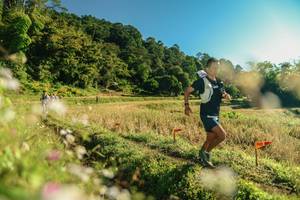 BIB: 
                            <button type="button" onclick="openModal(26636689)" class="btn btn-primary btn-sm float-right btn-popup" data-toggle="modal" data-target=".modal-high-quality">
                        <i class="fas fa-shopping-cart"></i> Add to Cart
                    </button>
                                            <button type="button" onclick="isThisMe(26636689, true)" class="btn btn-success btn-sm float-right btn-popup btn-isme hidden" data-toggle="tooltip" data-placement="bottom" title="นี่คือรูปของคุณใช่ไหม คลิกที่นี่เพื่อเอาเข้าอัลบั้ม">
                        <i class="fas fa-plus"></i> Add to album
                    </button>
                    <button type="button" onclick="isThisMe(26636689, false)" class="btn btn-warning btn-sm float-right btn-popup btn-isnotme hidden">
                        <i class="fas fa-ban"></i> Remove from album
                    </button>