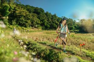 BIB: 
                            <button type="button" onclick="openModal(26670214)" class="btn btn-primary btn-sm float-right btn-popup" data-toggle="modal" data-target=".modal-high-quality">
                        <i class="fas fa-shopping-cart"></i> Add to Cart
                    </button>
                                            <button type="button" onclick="isThisMe(26670214, true)" class="btn btn-success btn-sm float-right btn-popup btn-isme hidden" data-toggle="tooltip" data-placement="bottom" title="นี่คือรูปของคุณใช่ไหม คลิกที่นี่เพื่อเอาเข้าอัลบั้ม">
                        <i class="fas fa-plus"></i> Add to album
                    </button>
                    <button type="button" onclick="isThisMe(26670214, false)" class="btn btn-warning btn-sm float-right btn-popup btn-isnotme hidden">
                        <i class="fas fa-ban"></i> Remove from album
                    </button>