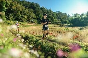 BIB: 
                            <button type="button" onclick="openModal(26634116)" class="btn btn-primary btn-sm float-right btn-popup" data-toggle="modal" data-target=".modal-high-quality">
                        <i class="fas fa-shopping-cart"></i> Add to Cart
                    </button>
                                            <button type="button" onclick="isThisMe(26634116, true)" class="btn btn-success btn-sm float-right btn-popup btn-isme hidden" data-toggle="tooltip" data-placement="bottom" title="นี่คือรูปของคุณใช่ไหม คลิกที่นี่เพื่อเอาเข้าอัลบั้ม">
                        <i class="fas fa-plus"></i> Add to album
                    </button>
                    <button type="button" onclick="isThisMe(26634116, false)" class="btn btn-warning btn-sm float-right btn-popup btn-isnotme hidden">
                        <i class="fas fa-ban"></i> Remove from album
                    </button>