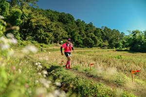 BIB: 
                            <button type="button" onclick="openModal(26711608)" class="btn btn-primary btn-sm float-right btn-popup" data-toggle="modal" data-target=".modal-high-quality">
                        <i class="fas fa-shopping-cart"></i> Add to Cart
                    </button>
                                            <button type="button" onclick="isThisMe(26711608, true)" class="btn btn-success btn-sm float-right btn-popup btn-isme hidden" data-toggle="tooltip" data-placement="bottom" title="นี่คือรูปของคุณใช่ไหม คลิกที่นี่เพื่อเอาเข้าอัลบั้ม">
                        <i class="fas fa-plus"></i> Add to album
                    </button>
                    <button type="button" onclick="isThisMe(26711608, false)" class="btn btn-warning btn-sm float-right btn-popup btn-isnotme hidden">
                        <i class="fas fa-ban"></i> Remove from album
                    </button>