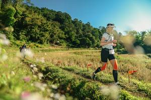 BIB: 
                            <button type="button" onclick="openModal(26637066)" class="btn btn-primary btn-sm float-right btn-popup" data-toggle="modal" data-target=".modal-high-quality">
                        <i class="fas fa-shopping-cart"></i> Add to Cart
                    </button>
                                            <button type="button" onclick="isThisMe(26637066, true)" class="btn btn-success btn-sm float-right btn-popup btn-isme hidden" data-toggle="tooltip" data-placement="bottom" title="นี่คือรูปของคุณใช่ไหม คลิกที่นี่เพื่อเอาเข้าอัลบั้ม">
                        <i class="fas fa-plus"></i> Add to album
                    </button>
                    <button type="button" onclick="isThisMe(26637066, false)" class="btn btn-warning btn-sm float-right btn-popup btn-isnotme hidden">
                        <i class="fas fa-ban"></i> Remove from album
                    </button>