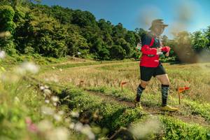 BIB: 
                            <button type="button" onclick="openModal(26699673)" class="btn btn-primary btn-sm float-right btn-popup" data-toggle="modal" data-target=".modal-high-quality">
                        <i class="fas fa-shopping-cart"></i> Add to Cart
                    </button>
                                            <button type="button" onclick="isThisMe(26699673, true)" class="btn btn-success btn-sm float-right btn-popup btn-isme hidden" data-toggle="tooltip" data-placement="bottom" title="นี่คือรูปของคุณใช่ไหม คลิกที่นี่เพื่อเอาเข้าอัลบั้ม">
                        <i class="fas fa-plus"></i> Add to album
                    </button>
                    <button type="button" onclick="isThisMe(26699673, false)" class="btn btn-warning btn-sm float-right btn-popup btn-isnotme hidden">
                        <i class="fas fa-ban"></i> Remove from album
                    </button>