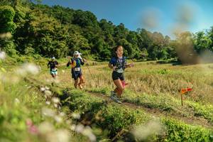 BIB: 
                            <button type="button" onclick="openModal(26699210)" class="btn btn-primary btn-sm float-right btn-popup" data-toggle="modal" data-target=".modal-high-quality">
                        <i class="fas fa-shopping-cart"></i> Add to Cart
                    </button>
                                            <button type="button" onclick="isThisMe(26699210, true)" class="btn btn-success btn-sm float-right btn-popup btn-isme hidden" data-toggle="tooltip" data-placement="bottom" title="นี่คือรูปของคุณใช่ไหม คลิกที่นี่เพื่อเอาเข้าอัลบั้ม">
                        <i class="fas fa-plus"></i> Add to album
                    </button>
                    <button type="button" onclick="isThisMe(26699210, false)" class="btn btn-warning btn-sm float-right btn-popup btn-isnotme hidden">
                        <i class="fas fa-ban"></i> Remove from album
                    </button>