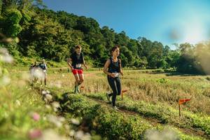 BIB: 
                            <button type="button" onclick="openModal(26638485)" class="btn btn-primary btn-sm float-right btn-popup" data-toggle="modal" data-target=".modal-high-quality">
                        <i class="fas fa-shopping-cart"></i> Add to Cart
                    </button>
                                            <button type="button" onclick="isThisMe(26638485, true)" class="btn btn-success btn-sm float-right btn-popup btn-isme hidden" data-toggle="tooltip" data-placement="bottom" title="นี่คือรูปของคุณใช่ไหม คลิกที่นี่เพื่อเอาเข้าอัลบั้ม">
                        <i class="fas fa-plus"></i> Add to album
                    </button>
                    <button type="button" onclick="isThisMe(26638485, false)" class="btn btn-warning btn-sm float-right btn-popup btn-isnotme hidden">
                        <i class="fas fa-ban"></i> Remove from album
                    </button>