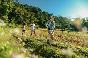 BIB: 
                            <button type="button" onclick="openModal(26636550)" class="btn btn-primary btn-sm float-right btn-popup" data-toggle="modal" data-target=".modal-high-quality">
                        <i class="fas fa-shopping-cart"></i> Add to Cart
                    </button>
                                            <button type="button" onclick="isThisMe(26636550, true)" class="btn btn-success btn-sm float-right btn-popup btn-isme hidden" data-toggle="tooltip" data-placement="bottom" title="นี่คือรูปของคุณใช่ไหม คลิกที่นี่เพื่อเอาเข้าอัลบั้ม">
                        <i class="fas fa-plus"></i> Add to album
                    </button>
                    <button type="button" onclick="isThisMe(26636550, false)" class="btn btn-warning btn-sm float-right btn-popup btn-isnotme hidden">
                        <i class="fas fa-ban"></i> Remove from album
                    </button>