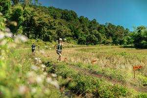 BIB: 
                            <button type="button" onclick="openModal(26734658)" class="btn btn-primary btn-sm float-right btn-popup" data-toggle="modal" data-target=".modal-high-quality">
                        <i class="fas fa-shopping-cart"></i> Add to Cart
                    </button>
                                            <button type="button" onclick="isThisMe(26734658, true)" class="btn btn-success btn-sm float-right btn-popup btn-isme hidden" data-toggle="tooltip" data-placement="bottom" title="นี่คือรูปของคุณใช่ไหม คลิกที่นี่เพื่อเอาเข้าอัลบั้ม">
                        <i class="fas fa-plus"></i> Add to album
                    </button>
                    <button type="button" onclick="isThisMe(26734658, false)" class="btn btn-warning btn-sm float-right btn-popup btn-isnotme hidden">
                        <i class="fas fa-ban"></i> Remove from album
                    </button>