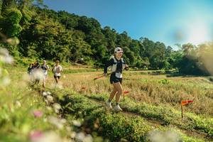 BIB: 
                            <button type="button" onclick="openModal(26637503)" class="btn btn-primary btn-sm float-right btn-popup" data-toggle="modal" data-target=".modal-high-quality">
                        <i class="fas fa-shopping-cart"></i> Add to Cart
                    </button>
                                            <button type="button" onclick="isThisMe(26637503, true)" class="btn btn-success btn-sm float-right btn-popup btn-isme hidden" data-toggle="tooltip" data-placement="bottom" title="นี่คือรูปของคุณใช่ไหม คลิกที่นี่เพื่อเอาเข้าอัลบั้ม">
                        <i class="fas fa-plus"></i> Add to album
                    </button>
                    <button type="button" onclick="isThisMe(26637503, false)" class="btn btn-warning btn-sm float-right btn-popup btn-isnotme hidden">
                        <i class="fas fa-ban"></i> Remove from album
                    </button>