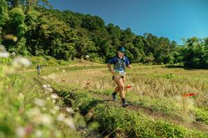 BIB: 
                            <button type="button" onclick="openModal(26723801)" class="btn btn-primary btn-sm float-right btn-popup" data-toggle="modal" data-target=".modal-high-quality">
                        <i class="fas fa-shopping-cart"></i> Add to Cart
                    </button>
                                            <button type="button" onclick="isThisMe(26723801, true)" class="btn btn-success btn-sm float-right btn-popup btn-isme hidden" data-toggle="tooltip" data-placement="bottom" title="นี่คือรูปของคุณใช่ไหม คลิกที่นี่เพื่อเอาเข้าอัลบั้ม">
                        <i class="fas fa-plus"></i> Add to album
                    </button>
                    <button type="button" onclick="isThisMe(26723801, false)" class="btn btn-warning btn-sm float-right btn-popup btn-isnotme hidden">
                        <i class="fas fa-ban"></i> Remove from album
                    </button>