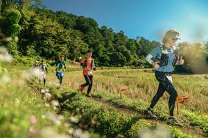 BIB: 
                            <button type="button" onclick="openModal(26679939)" class="btn btn-primary btn-sm float-right btn-popup" data-toggle="modal" data-target=".modal-high-quality">
                        <i class="fas fa-shopping-cart"></i> Add to Cart
                    </button>
                                            <button type="button" onclick="isThisMe(26679939, true)" class="btn btn-success btn-sm float-right btn-popup btn-isme hidden" data-toggle="tooltip" data-placement="bottom" title="นี่คือรูปของคุณใช่ไหม คลิกที่นี่เพื่อเอาเข้าอัลบั้ม">
                        <i class="fas fa-plus"></i> Add to album
                    </button>
                    <button type="button" onclick="isThisMe(26679939, false)" class="btn btn-warning btn-sm float-right btn-popup btn-isnotme hidden">
                        <i class="fas fa-ban"></i> Remove from album
                    </button>