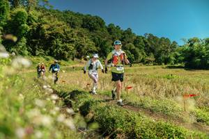 BIB: 
                            <button type="button" onclick="openModal(26723484)" class="btn btn-primary btn-sm float-right btn-popup" data-toggle="modal" data-target=".modal-high-quality">
                        <i class="fas fa-shopping-cart"></i> Add to Cart
                    </button>
                                            <button type="button" onclick="isThisMe(26723484, true)" class="btn btn-success btn-sm float-right btn-popup btn-isme hidden" data-toggle="tooltip" data-placement="bottom" title="นี่คือรูปของคุณใช่ไหม คลิกที่นี่เพื่อเอาเข้าอัลบั้ม">
                        <i class="fas fa-plus"></i> Add to album
                    </button>
                    <button type="button" onclick="isThisMe(26723484, false)" class="btn btn-warning btn-sm float-right btn-popup btn-isnotme hidden">
                        <i class="fas fa-ban"></i> Remove from album
                    </button>