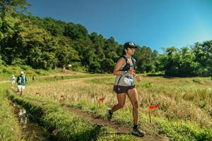 BIB: 
                            <button type="button" onclick="openModal(26714491)" class="btn btn-primary btn-sm float-right btn-popup" data-toggle="modal" data-target=".modal-high-quality">
                        <i class="fas fa-shopping-cart"></i> Add to Cart
                    </button>
                                            <button type="button" onclick="isThisMe(26714491, true)" class="btn btn-success btn-sm float-right btn-popup btn-isme hidden" data-toggle="tooltip" data-placement="bottom" title="นี่คือรูปของคุณใช่ไหม คลิกที่นี่เพื่อเอาเข้าอัลบั้ม">
                        <i class="fas fa-plus"></i> Add to album
                    </button>
                    <button type="button" onclick="isThisMe(26714491, false)" class="btn btn-warning btn-sm float-right btn-popup btn-isnotme hidden">
                        <i class="fas fa-ban"></i> Remove from album
                    </button>