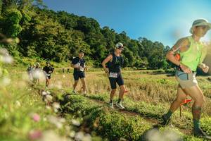 BIB: 
                            <button type="button" onclick="openModal(26638430)" class="btn btn-primary btn-sm float-right btn-popup" data-toggle="modal" data-target=".modal-high-quality">
                        <i class="fas fa-shopping-cart"></i> Add to Cart
                    </button>
                                            <button type="button" onclick="isThisMe(26638430, true)" class="btn btn-success btn-sm float-right btn-popup btn-isme hidden" data-toggle="tooltip" data-placement="bottom" title="นี่คือรูปของคุณใช่ไหม คลิกที่นี่เพื่อเอาเข้าอัลบั้ม">
                        <i class="fas fa-plus"></i> Add to album
                    </button>
                    <button type="button" onclick="isThisMe(26638430, false)" class="btn btn-warning btn-sm float-right btn-popup btn-isnotme hidden">
                        <i class="fas fa-ban"></i> Remove from album
                    </button>