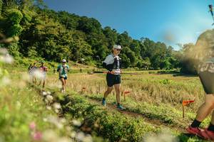 BIB: 
                            <button type="button" onclick="openModal(26688911)" class="btn btn-primary btn-sm float-right btn-popup" data-toggle="modal" data-target=".modal-high-quality">
                        <i class="fas fa-shopping-cart"></i> Add to Cart
                    </button>
                                            <button type="button" onclick="isThisMe(26688911, true)" class="btn btn-success btn-sm float-right btn-popup btn-isme hidden" data-toggle="tooltip" data-placement="bottom" title="นี่คือรูปของคุณใช่ไหม คลิกที่นี่เพื่อเอาเข้าอัลบั้ม">
                        <i class="fas fa-plus"></i> Add to album
                    </button>
                    <button type="button" onclick="isThisMe(26688911, false)" class="btn btn-warning btn-sm float-right btn-popup btn-isnotme hidden">
                        <i class="fas fa-ban"></i> Remove from album
                    </button>