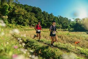 BIB: 
                            <button type="button" onclick="openModal(26637476)" class="btn btn-primary btn-sm float-right btn-popup" data-toggle="modal" data-target=".modal-high-quality">
                        <i class="fas fa-shopping-cart"></i> Add to Cart
                    </button>
                                            <button type="button" onclick="isThisMe(26637476, true)" class="btn btn-success btn-sm float-right btn-popup btn-isme hidden" data-toggle="tooltip" data-placement="bottom" title="นี่คือรูปของคุณใช่ไหม คลิกที่นี่เพื่อเอาเข้าอัลบั้ม">
                        <i class="fas fa-plus"></i> Add to album
                    </button>
                    <button type="button" onclick="isThisMe(26637476, false)" class="btn btn-warning btn-sm float-right btn-popup btn-isnotme hidden">
                        <i class="fas fa-ban"></i> Remove from album
                    </button>