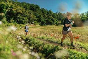 BIB: 
                            <button type="button" onclick="openModal(26699531)" class="btn btn-primary btn-sm float-right btn-popup" data-toggle="modal" data-target=".modal-high-quality">
                        <i class="fas fa-shopping-cart"></i> Add to Cart
                    </button>
                                            <button type="button" onclick="isThisMe(26699531, true)" class="btn btn-success btn-sm float-right btn-popup btn-isme hidden" data-toggle="tooltip" data-placement="bottom" title="นี่คือรูปของคุณใช่ไหม คลิกที่นี่เพื่อเอาเข้าอัลบั้ม">
                        <i class="fas fa-plus"></i> Add to album
                    </button>
                    <button type="button" onclick="isThisMe(26699531, false)" class="btn btn-warning btn-sm float-right btn-popup btn-isnotme hidden">
                        <i class="fas fa-ban"></i> Remove from album
                    </button>