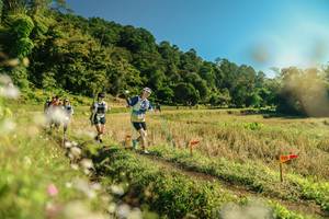 BIB: 
                            <button type="button" onclick="openModal(26679856)" class="btn btn-primary btn-sm float-right btn-popup" data-toggle="modal" data-target=".modal-high-quality">
                        <i class="fas fa-shopping-cart"></i> Add to Cart
                    </button>
                                            <button type="button" onclick="isThisMe(26679856, true)" class="btn btn-success btn-sm float-right btn-popup btn-isme hidden" data-toggle="tooltip" data-placement="bottom" title="นี่คือรูปของคุณใช่ไหม คลิกที่นี่เพื่อเอาเข้าอัลบั้ม">
                        <i class="fas fa-plus"></i> Add to album
                    </button>
                    <button type="button" onclick="isThisMe(26679856, false)" class="btn btn-warning btn-sm float-right btn-popup btn-isnotme hidden">
                        <i class="fas fa-ban"></i> Remove from album
                    </button>