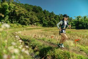 BIB: 
                            <button type="button" onclick="openModal(26725785)" class="btn btn-primary btn-sm float-right btn-popup" data-toggle="modal" data-target=".modal-high-quality">
                        <i class="fas fa-shopping-cart"></i> Add to Cart
                    </button>
                                            <button type="button" onclick="isThisMe(26725785, true)" class="btn btn-success btn-sm float-right btn-popup btn-isme hidden" data-toggle="tooltip" data-placement="bottom" title="นี่คือรูปของคุณใช่ไหม คลิกที่นี่เพื่อเอาเข้าอัลบั้ม">
                        <i class="fas fa-plus"></i> Add to album
                    </button>
                    <button type="button" onclick="isThisMe(26725785, false)" class="btn btn-warning btn-sm float-right btn-popup btn-isnotme hidden">
                        <i class="fas fa-ban"></i> Remove from album
                    </button>