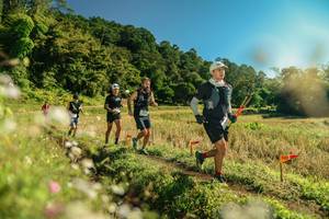 BIB: 
                            <button type="button" onclick="openModal(26672872)" class="btn btn-primary btn-sm float-right btn-popup" data-toggle="modal" data-target=".modal-high-quality">
                        <i class="fas fa-shopping-cart"></i> Add to Cart
                    </button>
                                            <button type="button" onclick="isThisMe(26672872, true)" class="btn btn-success btn-sm float-right btn-popup btn-isme hidden" data-toggle="tooltip" data-placement="bottom" title="นี่คือรูปของคุณใช่ไหม คลิกที่นี่เพื่อเอาเข้าอัลบั้ม">
                        <i class="fas fa-plus"></i> Add to album
                    </button>
                    <button type="button" onclick="isThisMe(26672872, false)" class="btn btn-warning btn-sm float-right btn-popup btn-isnotme hidden">
                        <i class="fas fa-ban"></i> Remove from album
                    </button>