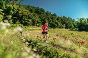 BIB: 
                            <button type="button" onclick="openModal(26710579)" class="btn btn-primary btn-sm float-right btn-popup" data-toggle="modal" data-target=".modal-high-quality">
                        <i class="fas fa-shopping-cart"></i> Add to Cart
                    </button>
                                            <button type="button" onclick="isThisMe(26710579, true)" class="btn btn-success btn-sm float-right btn-popup btn-isme hidden" data-toggle="tooltip" data-placement="bottom" title="นี่คือรูปของคุณใช่ไหม คลิกที่นี่เพื่อเอาเข้าอัลบั้ม">
                        <i class="fas fa-plus"></i> Add to album
                    </button>
                    <button type="button" onclick="isThisMe(26710579, false)" class="btn btn-warning btn-sm float-right btn-popup btn-isnotme hidden">
                        <i class="fas fa-ban"></i> Remove from album
                    </button>