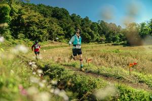 BIB: 
                            <button type="button" onclick="openModal(26699635)" class="btn btn-primary btn-sm float-right btn-popup" data-toggle="modal" data-target=".modal-high-quality">
                        <i class="fas fa-shopping-cart"></i> Add to Cart
                    </button>
                                            <button type="button" onclick="isThisMe(26699635, true)" class="btn btn-success btn-sm float-right btn-popup btn-isme hidden" data-toggle="tooltip" data-placement="bottom" title="นี่คือรูปของคุณใช่ไหม คลิกที่นี่เพื่อเอาเข้าอัลบั้ม">
                        <i class="fas fa-plus"></i> Add to album
                    </button>
                    <button type="button" onclick="isThisMe(26699635, false)" class="btn btn-warning btn-sm float-right btn-popup btn-isnotme hidden">
                        <i class="fas fa-ban"></i> Remove from album
                    </button>