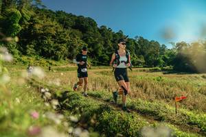 BIB: 
                            <button type="button" onclick="openModal(26638659)" class="btn btn-primary btn-sm float-right btn-popup" data-toggle="modal" data-target=".modal-high-quality">
                        <i class="fas fa-shopping-cart"></i> Add to Cart
                    </button>
                                            <button type="button" onclick="isThisMe(26638659, true)" class="btn btn-success btn-sm float-right btn-popup btn-isme hidden" data-toggle="tooltip" data-placement="bottom" title="นี่คือรูปของคุณใช่ไหม คลิกที่นี่เพื่อเอาเข้าอัลบั้ม">
                        <i class="fas fa-plus"></i> Add to album
                    </button>
                    <button type="button" onclick="isThisMe(26638659, false)" class="btn btn-warning btn-sm float-right btn-popup btn-isnotme hidden">
                        <i class="fas fa-ban"></i> Remove from album
                    </button>