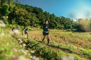 BIB: 
                            <button type="button" onclick="openModal(26638745)" class="btn btn-primary btn-sm float-right btn-popup" data-toggle="modal" data-target=".modal-high-quality">
                        <i class="fas fa-shopping-cart"></i> Add to Cart
                    </button>
                                            <button type="button" onclick="isThisMe(26638745, true)" class="btn btn-success btn-sm float-right btn-popup btn-isme hidden" data-toggle="tooltip" data-placement="bottom" title="นี่คือรูปของคุณใช่ไหม คลิกที่นี่เพื่อเอาเข้าอัลบั้ม">
                        <i class="fas fa-plus"></i> Add to album
                    </button>
                    <button type="button" onclick="isThisMe(26638745, false)" class="btn btn-warning btn-sm float-right btn-popup btn-isnotme hidden">
                        <i class="fas fa-ban"></i> Remove from album
                    </button>