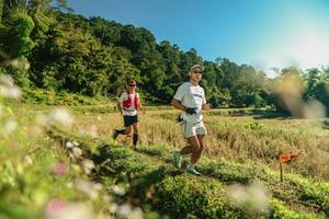 BIB: 
                            <button type="button" onclick="openModal(26636556)" class="btn btn-primary btn-sm float-right btn-popup" data-toggle="modal" data-target=".modal-high-quality">
                        <i class="fas fa-shopping-cart"></i> Add to Cart
                    </button>
                                            <button type="button" onclick="isThisMe(26636556, true)" class="btn btn-success btn-sm float-right btn-popup btn-isme hidden" data-toggle="tooltip" data-placement="bottom" title="นี่คือรูปของคุณใช่ไหม คลิกที่นี่เพื่อเอาเข้าอัลบั้ม">
                        <i class="fas fa-plus"></i> Add to album
                    </button>
                    <button type="button" onclick="isThisMe(26636556, false)" class="btn btn-warning btn-sm float-right btn-popup btn-isnotme hidden">
                        <i class="fas fa-ban"></i> Remove from album
                    </button>