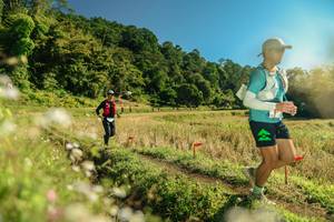 BIB: 
                            <button type="button" onclick="openModal(26684932)" class="btn btn-primary btn-sm float-right btn-popup" data-toggle="modal" data-target=".modal-high-quality">
                        <i class="fas fa-shopping-cart"></i> Add to Cart
                    </button>
                                            <button type="button" onclick="isThisMe(26684932, true)" class="btn btn-success btn-sm float-right btn-popup btn-isme hidden" data-toggle="tooltip" data-placement="bottom" title="นี่คือรูปของคุณใช่ไหม คลิกที่นี่เพื่อเอาเข้าอัลบั้ม">
                        <i class="fas fa-plus"></i> Add to album
                    </button>
                    <button type="button" onclick="isThisMe(26684932, false)" class="btn btn-warning btn-sm float-right btn-popup btn-isnotme hidden">
                        <i class="fas fa-ban"></i> Remove from album
                    </button>