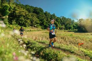 BIB: 
                            <button type="button" onclick="openModal(26687209)" class="btn btn-primary btn-sm float-right btn-popup" data-toggle="modal" data-target=".modal-high-quality">
                        <i class="fas fa-shopping-cart"></i> Add to Cart
                    </button>
                                            <button type="button" onclick="isThisMe(26687209, true)" class="btn btn-success btn-sm float-right btn-popup btn-isme hidden" data-toggle="tooltip" data-placement="bottom" title="นี่คือรูปของคุณใช่ไหม คลิกที่นี่เพื่อเอาเข้าอัลบั้ม">
                        <i class="fas fa-plus"></i> Add to album
                    </button>
                    <button type="button" onclick="isThisMe(26687209, false)" class="btn btn-warning btn-sm float-right btn-popup btn-isnotme hidden">
                        <i class="fas fa-ban"></i> Remove from album
                    </button>