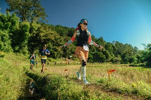 BIB: 
                            <button type="button" onclick="openModal(26701491)" class="btn btn-primary btn-sm float-right btn-popup" data-toggle="modal" data-target=".modal-high-quality">
                        <i class="fas fa-shopping-cart"></i> Add to Cart
                    </button>
                                            <button type="button" onclick="isThisMe(26701491, true)" class="btn btn-success btn-sm float-right btn-popup btn-isme hidden" data-toggle="tooltip" data-placement="bottom" title="นี่คือรูปของคุณใช่ไหม คลิกที่นี่เพื่อเอาเข้าอัลบั้ม">
                        <i class="fas fa-plus"></i> Add to album
                    </button>
                    <button type="button" onclick="isThisMe(26701491, false)" class="btn btn-warning btn-sm float-right btn-popup btn-isnotme hidden">
                        <i class="fas fa-ban"></i> Remove from album
                    </button>