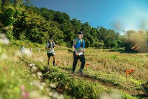 BIB: 
                            <button type="button" onclick="openModal(26689602)" class="btn btn-primary btn-sm float-right btn-popup" data-toggle="modal" data-target=".modal-high-quality">
                        <i class="fas fa-shopping-cart"></i> Add to Cart
                    </button>
                                            <button type="button" onclick="isThisMe(26689602, true)" class="btn btn-success btn-sm float-right btn-popup btn-isme hidden" data-toggle="tooltip" data-placement="bottom" title="นี่คือรูปของคุณใช่ไหม คลิกที่นี่เพื่อเอาเข้าอัลบั้ม">
                        <i class="fas fa-plus"></i> Add to album
                    </button>
                    <button type="button" onclick="isThisMe(26689602, false)" class="btn btn-warning btn-sm float-right btn-popup btn-isnotme hidden">
                        <i class="fas fa-ban"></i> Remove from album
                    </button>