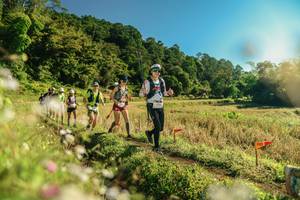 BIB: 
                            <button type="button" onclick="openModal(26638404)" class="btn btn-primary btn-sm float-right btn-popup" data-toggle="modal" data-target=".modal-high-quality">
                        <i class="fas fa-shopping-cart"></i> Add to Cart
                    </button>
                                            <button type="button" onclick="isThisMe(26638404, true)" class="btn btn-success btn-sm float-right btn-popup btn-isme hidden" data-toggle="tooltip" data-placement="bottom" title="นี่คือรูปของคุณใช่ไหม คลิกที่นี่เพื่อเอาเข้าอัลบั้ม">
                        <i class="fas fa-plus"></i> Add to album
                    </button>
                    <button type="button" onclick="isThisMe(26638404, false)" class="btn btn-warning btn-sm float-right btn-popup btn-isnotme hidden">
                        <i class="fas fa-ban"></i> Remove from album
                    </button>