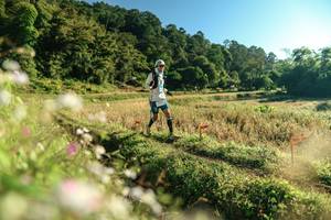 BIB: 
                            <button type="button" onclick="openModal(26634510)" class="btn btn-primary btn-sm float-right btn-popup" data-toggle="modal" data-target=".modal-high-quality">
                        <i class="fas fa-shopping-cart"></i> Add to Cart
                    </button>
                                            <button type="button" onclick="isThisMe(26634510, true)" class="btn btn-success btn-sm float-right btn-popup btn-isme hidden" data-toggle="tooltip" data-placement="bottom" title="นี่คือรูปของคุณใช่ไหม คลิกที่นี่เพื่อเอาเข้าอัลบั้ม">
                        <i class="fas fa-plus"></i> Add to album
                    </button>
                    <button type="button" onclick="isThisMe(26634510, false)" class="btn btn-warning btn-sm float-right btn-popup btn-isnotme hidden">
                        <i class="fas fa-ban"></i> Remove from album
                    </button>