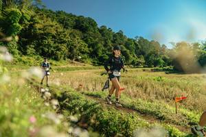 BIB: 
                            <button type="button" onclick="openModal(26681946)" class="btn btn-primary btn-sm float-right btn-popup" data-toggle="modal" data-target=".modal-high-quality">
                        <i class="fas fa-shopping-cart"></i> Add to Cart
                    </button>
                                            <button type="button" onclick="isThisMe(26681946, true)" class="btn btn-success btn-sm float-right btn-popup btn-isme hidden" data-toggle="tooltip" data-placement="bottom" title="นี่คือรูปของคุณใช่ไหม คลิกที่นี่เพื่อเอาเข้าอัลบั้ม">
                        <i class="fas fa-plus"></i> Add to album
                    </button>
                    <button type="button" onclick="isThisMe(26681946, false)" class="btn btn-warning btn-sm float-right btn-popup btn-isnotme hidden">
                        <i class="fas fa-ban"></i> Remove from album
                    </button>