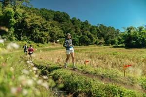 BIB: 
                            <button type="button" onclick="openModal(26722283)" class="btn btn-primary btn-sm float-right btn-popup" data-toggle="modal" data-target=".modal-high-quality">
                        <i class="fas fa-shopping-cart"></i> Add to Cart
                    </button>
                                            <button type="button" onclick="isThisMe(26722283, true)" class="btn btn-success btn-sm float-right btn-popup btn-isme hidden" data-toggle="tooltip" data-placement="bottom" title="นี่คือรูปของคุณใช่ไหม คลิกที่นี่เพื่อเอาเข้าอัลบั้ม">
                        <i class="fas fa-plus"></i> Add to album
                    </button>
                    <button type="button" onclick="isThisMe(26722283, false)" class="btn btn-warning btn-sm float-right btn-popup btn-isnotme hidden">
                        <i class="fas fa-ban"></i> Remove from album
                    </button>