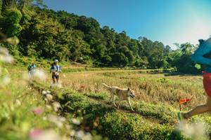 BIB: 
                            <button type="button" onclick="openModal(26637216)" class="btn btn-primary btn-sm float-right btn-popup" data-toggle="modal" data-target=".modal-high-quality">
                        <i class="fas fa-shopping-cart"></i> Add to Cart
                    </button>
                                            <button type="button" onclick="isThisMe(26637216, true)" class="btn btn-success btn-sm float-right btn-popup btn-isme hidden" data-toggle="tooltip" data-placement="bottom" title="นี่คือรูปของคุณใช่ไหม คลิกที่นี่เพื่อเอาเข้าอัลบั้ม">
                        <i class="fas fa-plus"></i> Add to album
                    </button>
                    <button type="button" onclick="isThisMe(26637216, false)" class="btn btn-warning btn-sm float-right btn-popup btn-isnotme hidden">
                        <i class="fas fa-ban"></i> Remove from album
                    </button>