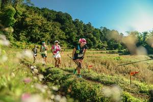 BIB: 
                            <button type="button" onclick="openModal(26637022)" class="btn btn-primary btn-sm float-right btn-popup" data-toggle="modal" data-target=".modal-high-quality">
                        <i class="fas fa-shopping-cart"></i> Add to Cart
                    </button>
                                            <button type="button" onclick="isThisMe(26637022, true)" class="btn btn-success btn-sm float-right btn-popup btn-isme hidden" data-toggle="tooltip" data-placement="bottom" title="นี่คือรูปของคุณใช่ไหม คลิกที่นี่เพื่อเอาเข้าอัลบั้ม">
                        <i class="fas fa-plus"></i> Add to album
                    </button>
                    <button type="button" onclick="isThisMe(26637022, false)" class="btn btn-warning btn-sm float-right btn-popup btn-isnotme hidden">
                        <i class="fas fa-ban"></i> Remove from album
                    </button>