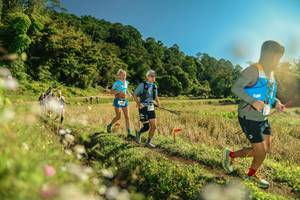 BIB: 
                            <button type="button" onclick="openModal(26670684)" class="btn btn-primary btn-sm float-right btn-popup" data-toggle="modal" data-target=".modal-high-quality">
                        <i class="fas fa-shopping-cart"></i> Add to Cart
                    </button>
                                            <button type="button" onclick="isThisMe(26670684, true)" class="btn btn-success btn-sm float-right btn-popup btn-isme hidden" data-toggle="tooltip" data-placement="bottom" title="นี่คือรูปของคุณใช่ไหม คลิกที่นี่เพื่อเอาเข้าอัลบั้ม">
                        <i class="fas fa-plus"></i> Add to album
                    </button>
                    <button type="button" onclick="isThisMe(26670684, false)" class="btn btn-warning btn-sm float-right btn-popup btn-isnotme hidden">
                        <i class="fas fa-ban"></i> Remove from album
                    </button>