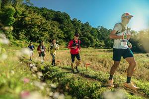 BIB: 
                            <button type="button" onclick="openModal(26637922)" class="btn btn-primary btn-sm float-right btn-popup" data-toggle="modal" data-target=".modal-high-quality">
                        <i class="fas fa-shopping-cart"></i> Add to Cart
                    </button>
                                            <button type="button" onclick="isThisMe(26637922, true)" class="btn btn-success btn-sm float-right btn-popup btn-isme hidden" data-toggle="tooltip" data-placement="bottom" title="นี่คือรูปของคุณใช่ไหม คลิกที่นี่เพื่อเอาเข้าอัลบั้ม">
                        <i class="fas fa-plus"></i> Add to album
                    </button>
                    <button type="button" onclick="isThisMe(26637922, false)" class="btn btn-warning btn-sm float-right btn-popup btn-isnotme hidden">
                        <i class="fas fa-ban"></i> Remove from album
                    </button>