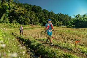 BIB: 
                            <button type="button" onclick="openModal(26697299)" class="btn btn-primary btn-sm float-right btn-popup" data-toggle="modal" data-target=".modal-high-quality">
                        <i class="fas fa-shopping-cart"></i> Add to Cart
                    </button>
                                            <button type="button" onclick="isThisMe(26697299, true)" class="btn btn-success btn-sm float-right btn-popup btn-isme hidden" data-toggle="tooltip" data-placement="bottom" title="นี่คือรูปของคุณใช่ไหม คลิกที่นี่เพื่อเอาเข้าอัลบั้ม">
                        <i class="fas fa-plus"></i> Add to album
                    </button>
                    <button type="button" onclick="isThisMe(26697299, false)" class="btn btn-warning btn-sm float-right btn-popup btn-isnotme hidden">
                        <i class="fas fa-ban"></i> Remove from album
                    </button>