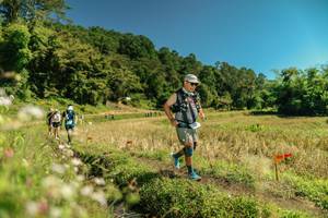 BIB: 
                            <button type="button" onclick="openModal(26722817)" class="btn btn-primary btn-sm float-right btn-popup" data-toggle="modal" data-target=".modal-high-quality">
                        <i class="fas fa-shopping-cart"></i> Add to Cart
                    </button>
                                            <button type="button" onclick="isThisMe(26722817, true)" class="btn btn-success btn-sm float-right btn-popup btn-isme hidden" data-toggle="tooltip" data-placement="bottom" title="นี่คือรูปของคุณใช่ไหม คลิกที่นี่เพื่อเอาเข้าอัลบั้ม">
                        <i class="fas fa-plus"></i> Add to album
                    </button>
                    <button type="button" onclick="isThisMe(26722817, false)" class="btn btn-warning btn-sm float-right btn-popup btn-isnotme hidden">
                        <i class="fas fa-ban"></i> Remove from album
                    </button>