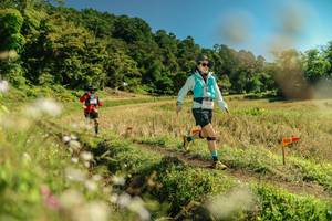 BIB: 
                            <button type="button" onclick="openModal(26699650)" class="btn btn-primary btn-sm float-right btn-popup" data-toggle="modal" data-target=".modal-high-quality">
                        <i class="fas fa-shopping-cart"></i> Add to Cart
                    </button>
                                            <button type="button" onclick="isThisMe(26699650, true)" class="btn btn-success btn-sm float-right btn-popup btn-isme hidden" data-toggle="tooltip" data-placement="bottom" title="นี่คือรูปของคุณใช่ไหม คลิกที่นี่เพื่อเอาเข้าอัลบั้ม">
                        <i class="fas fa-plus"></i> Add to album
                    </button>
                    <button type="button" onclick="isThisMe(26699650, false)" class="btn btn-warning btn-sm float-right btn-popup btn-isnotme hidden">
                        <i class="fas fa-ban"></i> Remove from album
                    </button>