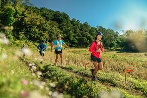 BIB: 
                            <button type="button" onclick="openModal(26638785)" class="btn btn-primary btn-sm float-right btn-popup" data-toggle="modal" data-target=".modal-high-quality">
                        <i class="fas fa-shopping-cart"></i> Add to Cart
                    </button>
                                            <button type="button" onclick="isThisMe(26638785, true)" class="btn btn-success btn-sm float-right btn-popup btn-isme hidden" data-toggle="tooltip" data-placement="bottom" title="นี่คือรูปของคุณใช่ไหม คลิกที่นี่เพื่อเอาเข้าอัลบั้ม">
                        <i class="fas fa-plus"></i> Add to album
                    </button>
                    <button type="button" onclick="isThisMe(26638785, false)" class="btn btn-warning btn-sm float-right btn-popup btn-isnotme hidden">
                        <i class="fas fa-ban"></i> Remove from album
                    </button>