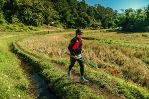 BIB: 
                            <button type="button" onclick="openModal(26692842)" class="btn btn-primary btn-sm float-right btn-popup" data-toggle="modal" data-target=".modal-high-quality">
                        <i class="fas fa-shopping-cart"></i> Add to Cart
                    </button>
                                            <button type="button" onclick="isThisMe(26692842, true)" class="btn btn-success btn-sm float-right btn-popup btn-isme hidden" data-toggle="tooltip" data-placement="bottom" title="นี่คือรูปของคุณใช่ไหม คลิกที่นี่เพื่อเอาเข้าอัลบั้ม">
                        <i class="fas fa-plus"></i> Add to album
                    </button>
                    <button type="button" onclick="isThisMe(26692842, false)" class="btn btn-warning btn-sm float-right btn-popup btn-isnotme hidden">
                        <i class="fas fa-ban"></i> Remove from album
                    </button>