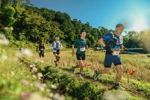 BIB: 
                            <button type="button" onclick="openModal(26638329)" class="btn btn-primary btn-sm float-right btn-popup" data-toggle="modal" data-target=".modal-high-quality">
                        <i class="fas fa-shopping-cart"></i> Add to Cart
                    </button>
                                            <button type="button" onclick="isThisMe(26638329, true)" class="btn btn-success btn-sm float-right btn-popup btn-isme hidden" data-toggle="tooltip" data-placement="bottom" title="นี่คือรูปของคุณใช่ไหม คลิกที่นี่เพื่อเอาเข้าอัลบั้ม">
                        <i class="fas fa-plus"></i> Add to album
                    </button>
                    <button type="button" onclick="isThisMe(26638329, false)" class="btn btn-warning btn-sm float-right btn-popup btn-isnotme hidden">
                        <i class="fas fa-ban"></i> Remove from album
                    </button>