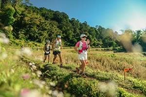 BIB: 
                            <button type="button" onclick="openModal(26637030)" class="btn btn-primary btn-sm float-right btn-popup" data-toggle="modal" data-target=".modal-high-quality">
                        <i class="fas fa-shopping-cart"></i> Add to Cart
                    </button>
                                            <button type="button" onclick="isThisMe(26637030, true)" class="btn btn-success btn-sm float-right btn-popup btn-isme hidden" data-toggle="tooltip" data-placement="bottom" title="นี่คือรูปของคุณใช่ไหม คลิกที่นี่เพื่อเอาเข้าอัลบั้ม">
                        <i class="fas fa-plus"></i> Add to album
                    </button>
                    <button type="button" onclick="isThisMe(26637030, false)" class="btn btn-warning btn-sm float-right btn-popup btn-isnotme hidden">
                        <i class="fas fa-ban"></i> Remove from album
                    </button>