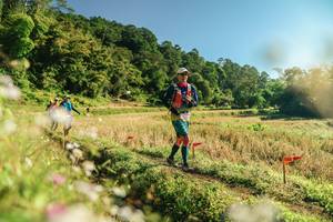 BIB: 
                            <button type="button" onclick="openModal(26637802)" class="btn btn-primary btn-sm float-right btn-popup" data-toggle="modal" data-target=".modal-high-quality">
                        <i class="fas fa-shopping-cart"></i> Add to Cart
                    </button>
                                            <button type="button" onclick="isThisMe(26637802, true)" class="btn btn-success btn-sm float-right btn-popup btn-isme hidden" data-toggle="tooltip" data-placement="bottom" title="นี่คือรูปของคุณใช่ไหม คลิกที่นี่เพื่อเอาเข้าอัลบั้ม">
                        <i class="fas fa-plus"></i> Add to album
                    </button>
                    <button type="button" onclick="isThisMe(26637802, false)" class="btn btn-warning btn-sm float-right btn-popup btn-isnotme hidden">
                        <i class="fas fa-ban"></i> Remove from album
                    </button>