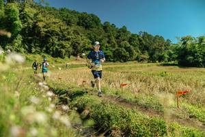 BIB: 
                            <button type="button" onclick="openModal(26728689)" class="btn btn-primary btn-sm float-right btn-popup" data-toggle="modal" data-target=".modal-high-quality">
                        <i class="fas fa-shopping-cart"></i> Add to Cart
                    </button>
                                            <button type="button" onclick="isThisMe(26728689, true)" class="btn btn-success btn-sm float-right btn-popup btn-isme hidden" data-toggle="tooltip" data-placement="bottom" title="นี่คือรูปของคุณใช่ไหม คลิกที่นี่เพื่อเอาเข้าอัลบั้ม">
                        <i class="fas fa-plus"></i> Add to album
                    </button>
                    <button type="button" onclick="isThisMe(26728689, false)" class="btn btn-warning btn-sm float-right btn-popup btn-isnotme hidden">
                        <i class="fas fa-ban"></i> Remove from album
                    </button>